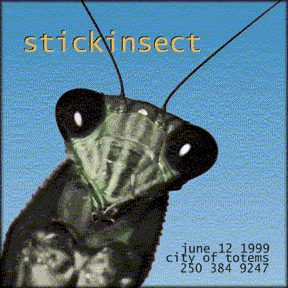 Stick Insect eats your babies!